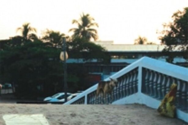 Senior citizen injures back after tripping on  slab left on bridge at Colva Beach