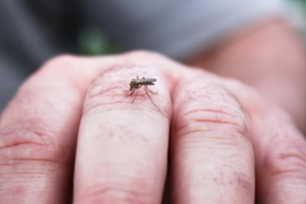 Sensitisation session on dengue held for Mormugao councillors