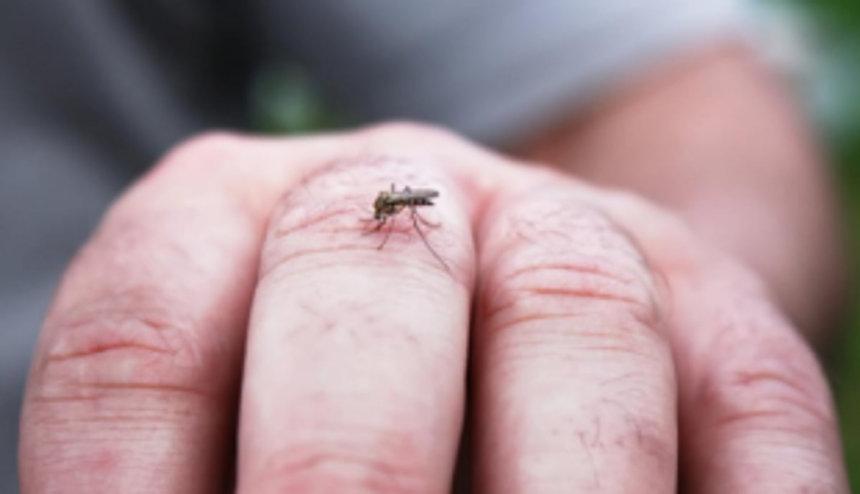 Sensitisation session on dengue held for Mormugao councillors