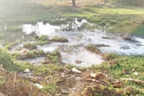 Septic waste from public toilets leaves Margao fields stinking