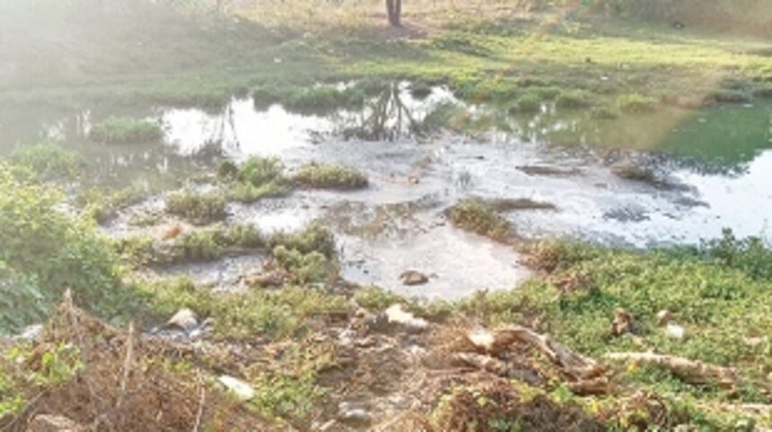 Septic waste from public toilets leaves Margao fields stinking