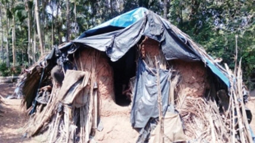 Septuagenarian widow has only one meal a day