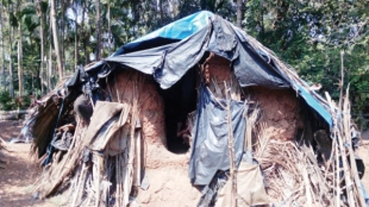 Septuagenarian widow has only one meal a day