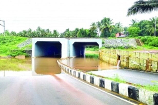 Seraulim residents want govt to resolve water logging problem in the village during rains