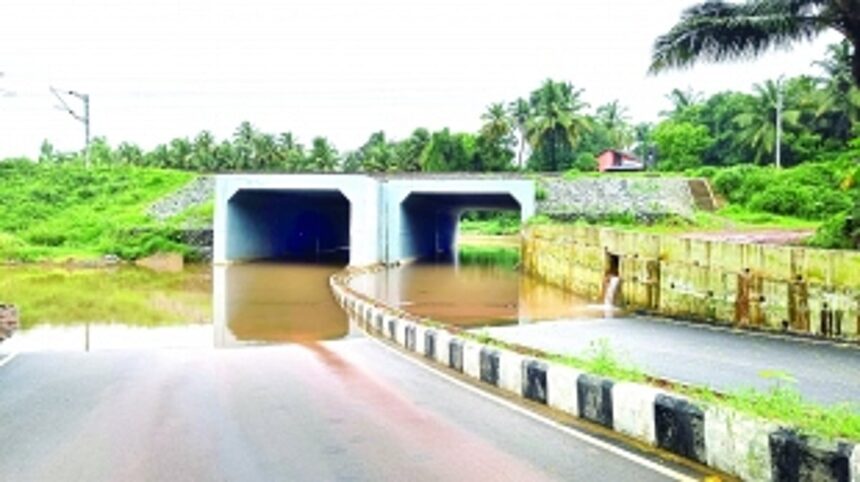 Seraulim residents want govt to resolve water logging problem in the village during rains
