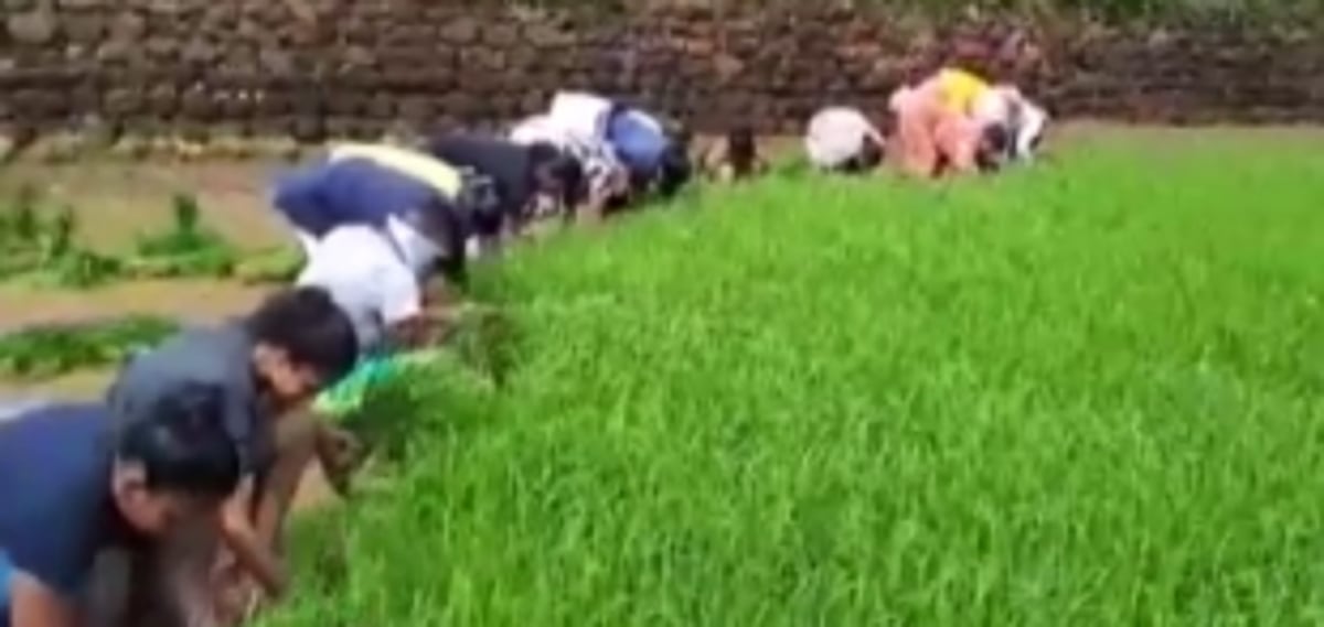 Set up ZAO in Mormugao, urge Chicalim youth farmers