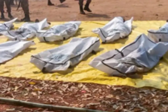 Seven Maoists Killed in Encounter with Security Forces in Narayanpur, Chhattisgarh