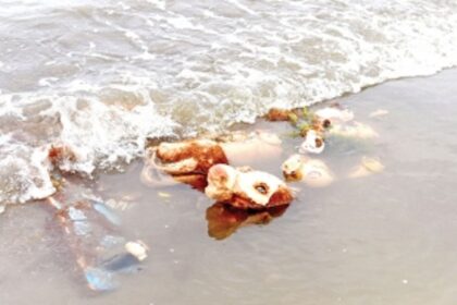 Several idols made of Plaster of Paris washed ashore on beaches