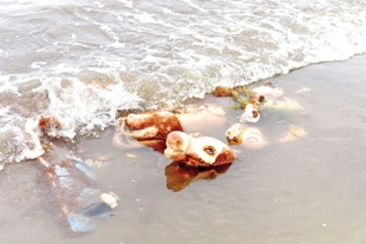 Several idols made of Plaster of Paris washed ashore on beaches