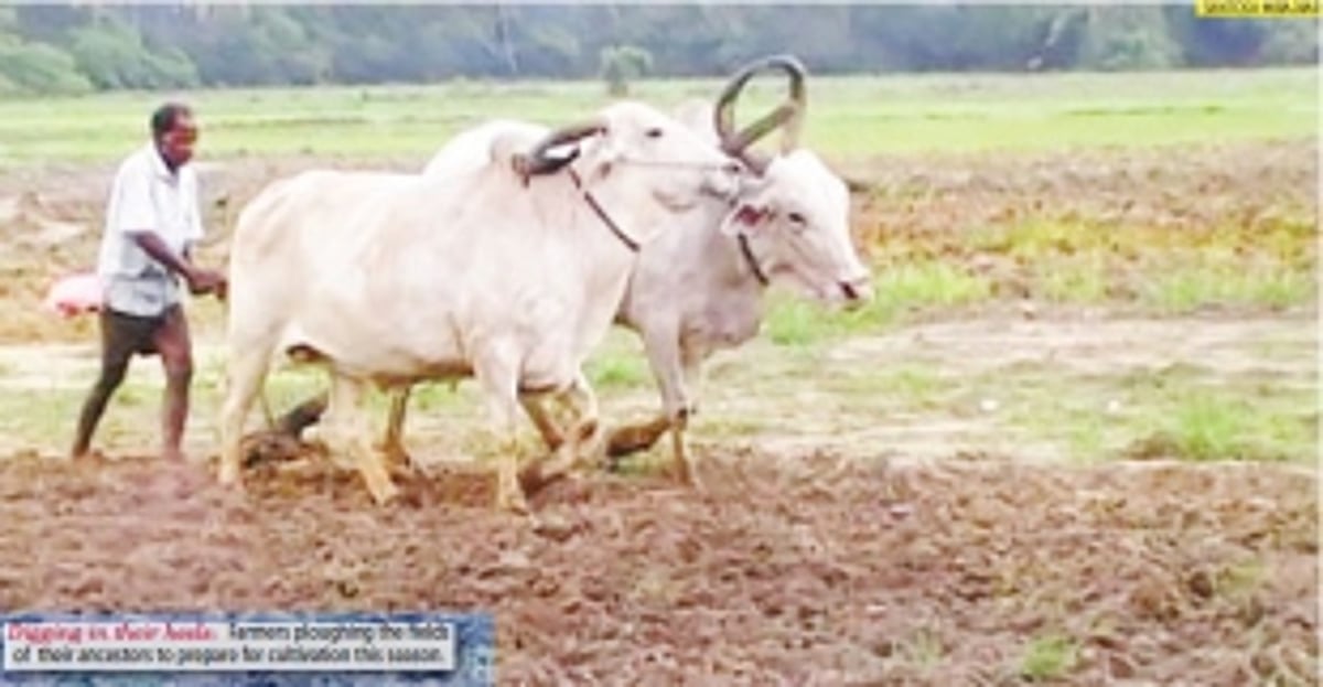 Severe water crises
