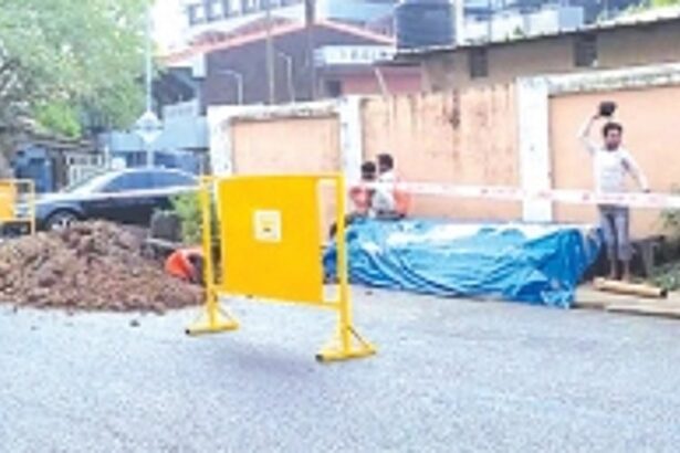 Sewage contractor digs up freshly hotmixed road, gets flowers from sarky Margao locals