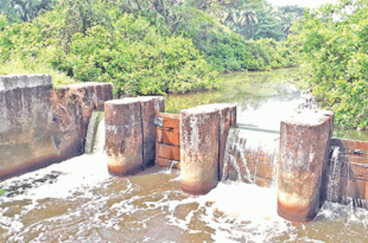 Sewage discharge into Bhokti Khanddi,  River Sal to be resolved permanently