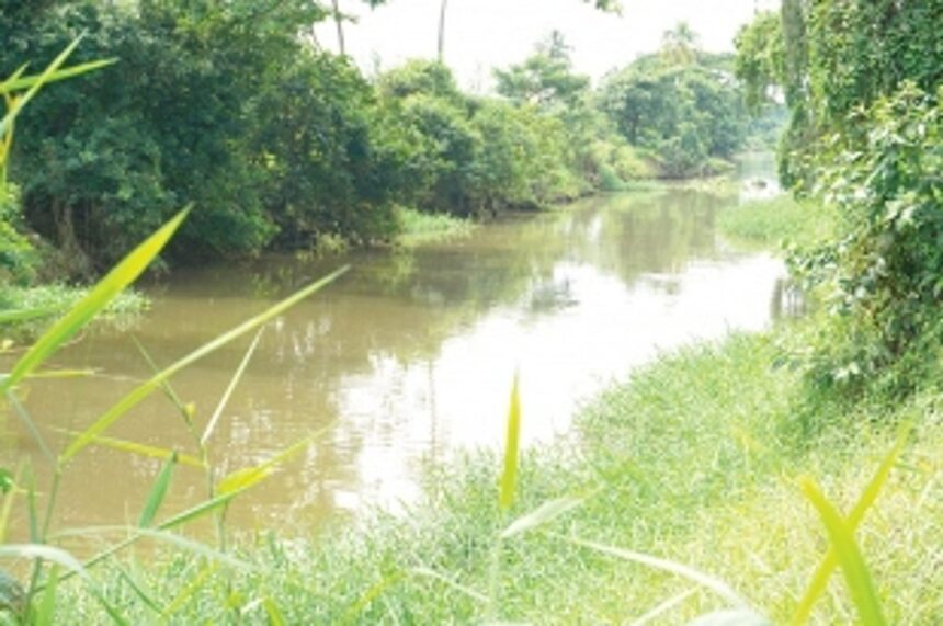 Sewage flow surge in River Sal due to lack of proper facilities in areas along the bank