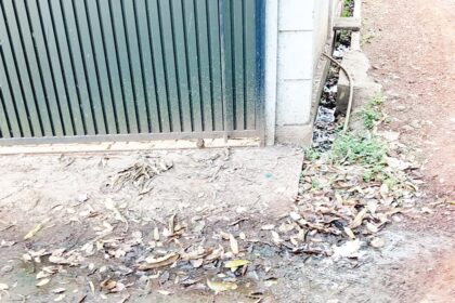 Sewage flowing openly by
roadside at Siolim