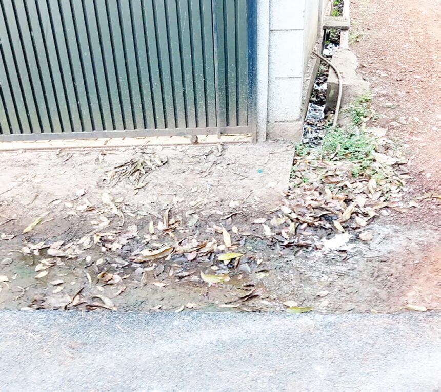 Sewage flowing openly by roadside at Siolim 1 Sewage flowing openly by
roadside at Siolim