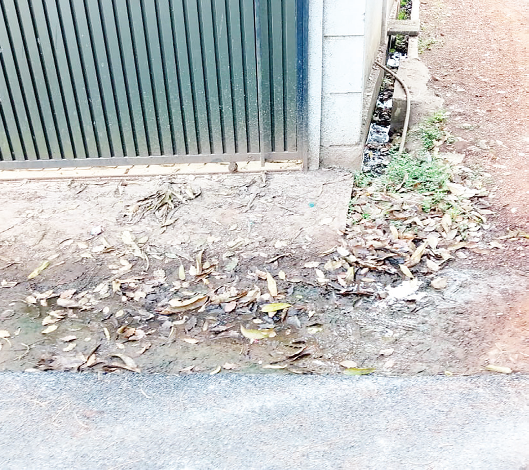 Sewage flowing openly by
roadside at Siolim