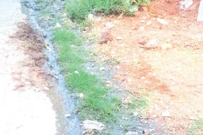 Sewage leak leaves Pajifond’s Junta Quarters stinking