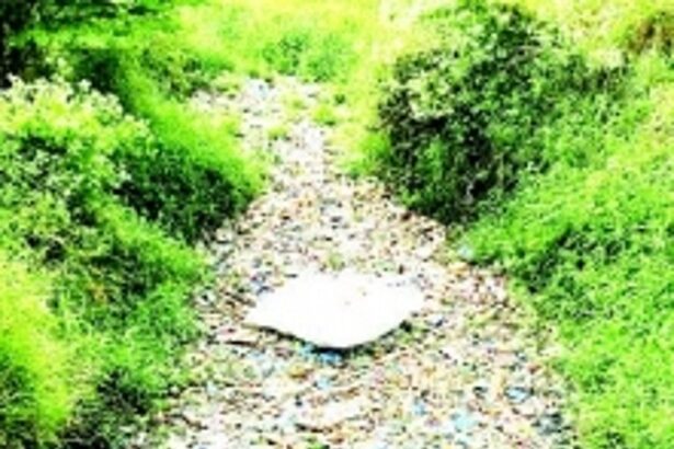 Sewage pollution: HC chides MMC, seeks progress report on Salpem fields