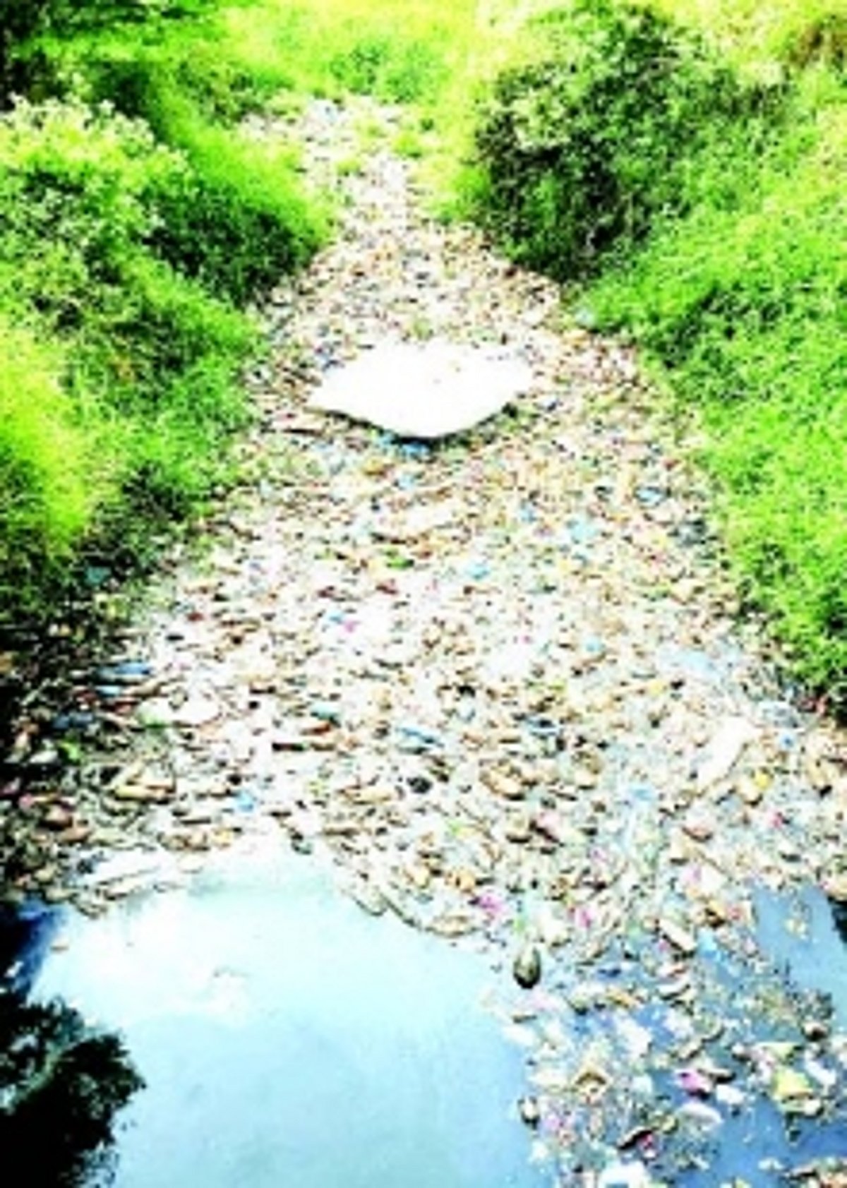 Sewage pollution: HC chides MMC, seeks progress report on Salpem fields