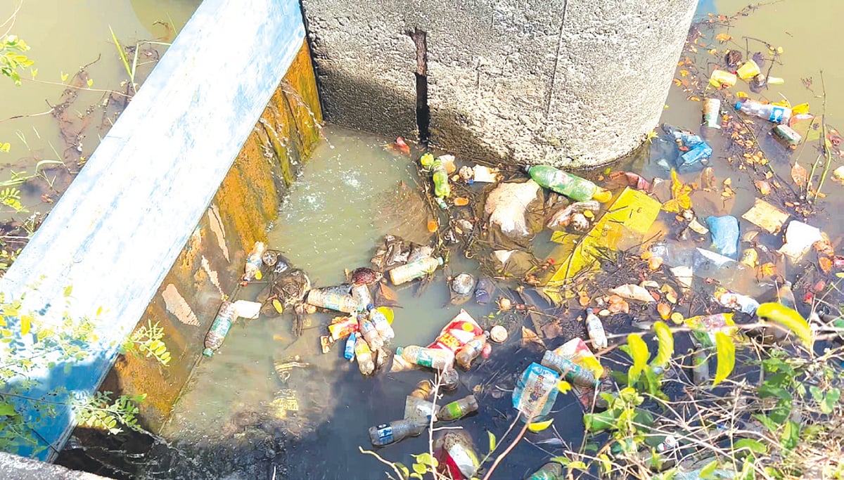 Sewage release into Salpem Lake, River Sal: Corporation, MMC file affidavits at last