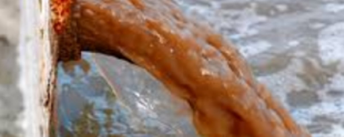 Sewage released into river at Betim