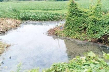 Sewage water discharged into fields: Maimollem locals