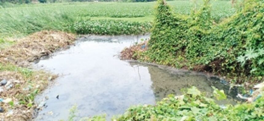 Sewage water discharged into fields: Maimollem locals