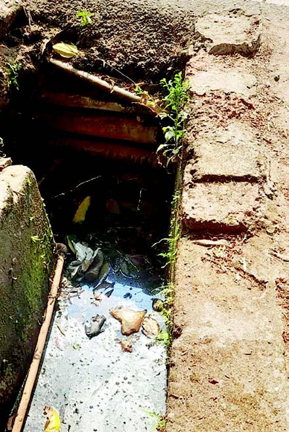 Sewage water flows into nullahs at Siolim