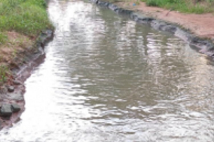 Sewage water release into River Sal affecting aqua farms