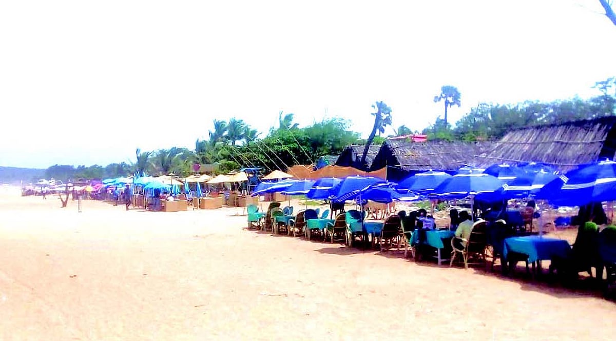 Shacks owners optimistic about an early start this year
