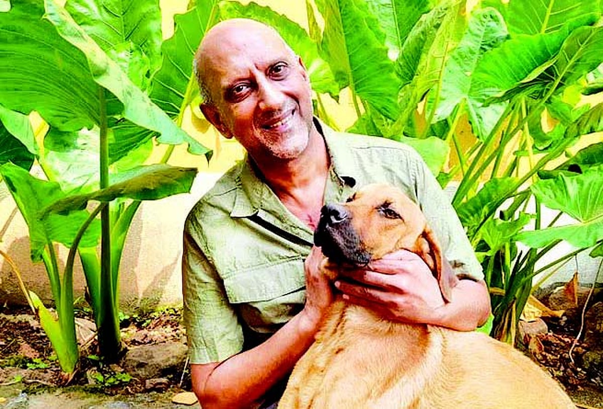 Sharing equal space with
our four-legged friends