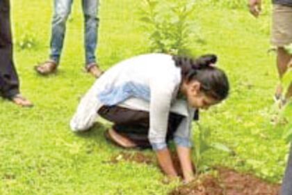Shel-Melauli locals plant 50 plus saplings at IIT site