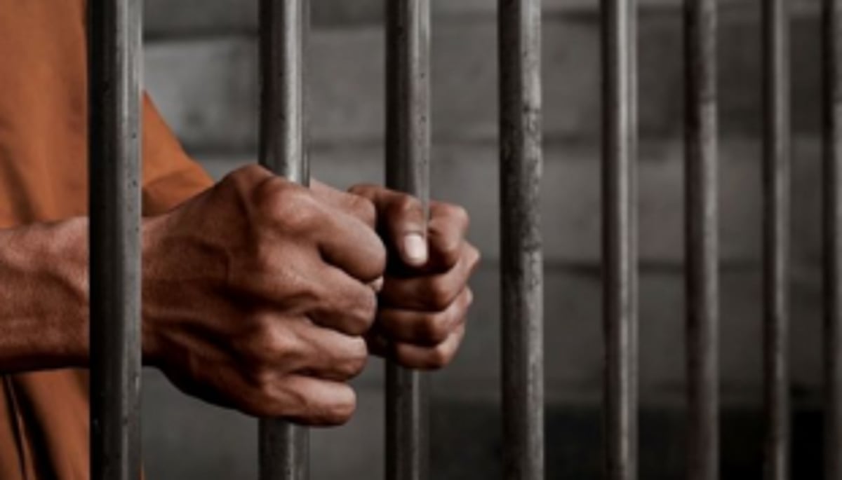 Shelter Home   director remanded