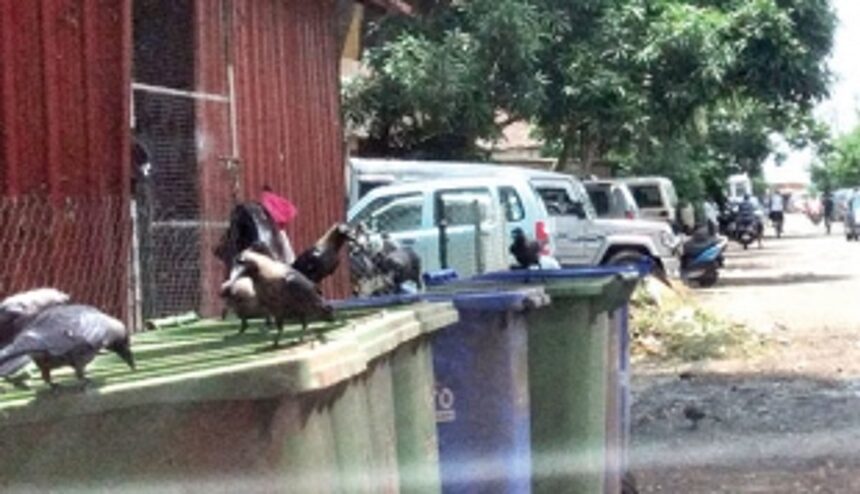 Shift garbage spot from Vasco residential area