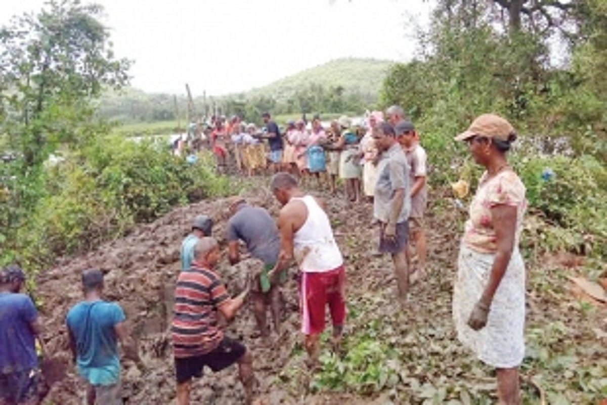 Shiroda farmers make frantic efforts to repair damaged bandh
