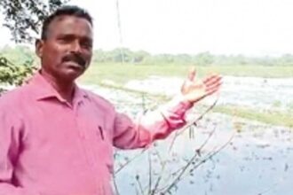 Shiroda man fears collapse of his house due to illegal storage of seawater in fields