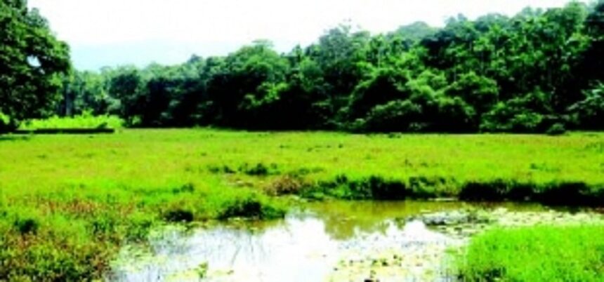 Shiroda’s Moingal Tollem set to become 4th wetland in village 1 Shiroda’s Moingal Tollem set to become 4th wetland in village