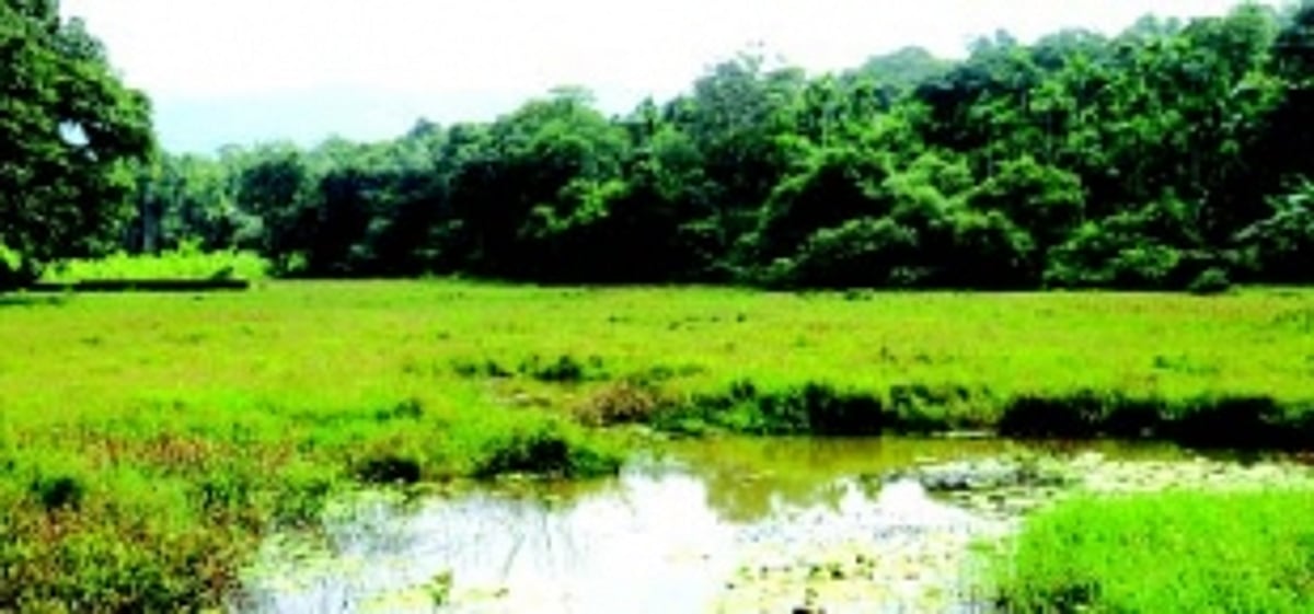Shiroda’s Moingal Tollem set to become  4th wetland in village
