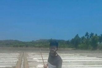 Shiroda’s ancient salt pans continue  to sustain Goan livelihoods
