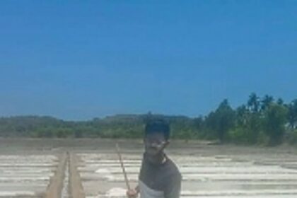 Shiroda’s ancient salt pans continue  to sustain Goan livelihoods