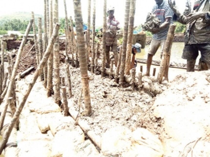 Shiroda’s rural soldiers protect fields with their own hands and money, as pending compensation dues mount