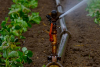 Shivde villagers demand action against three families for water theft