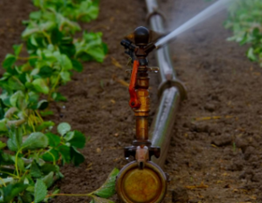 Shivde villagers demand action against three families for water theft