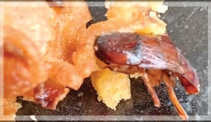 Shocking Discovery: Cockroach Hidden in Pakora at Siolim Eatery