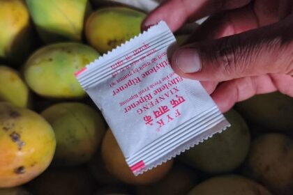 Should FDA check forced ripening of fruits on daily basis?