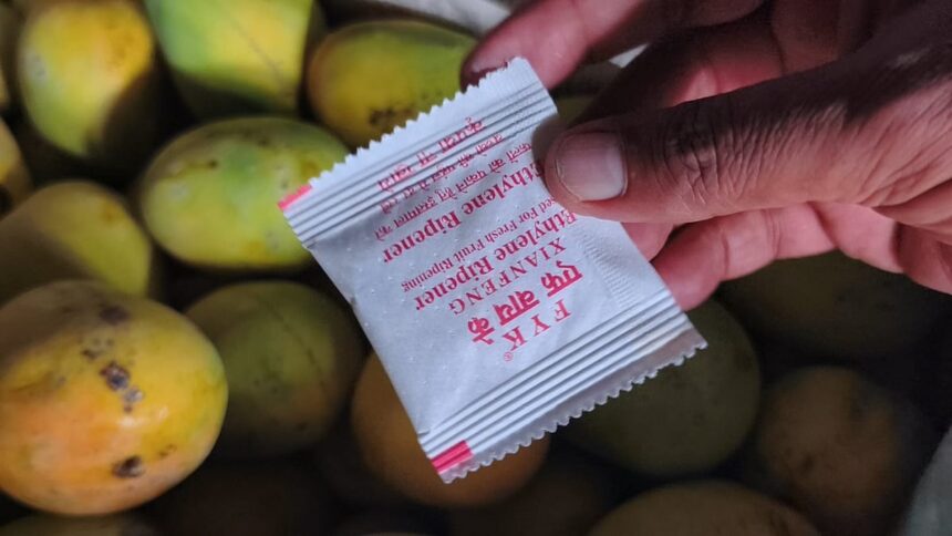 Should FDA check forced ripening of fruits on daily basis? 1 Should FDA check forced ripening of fruits on daily basis?