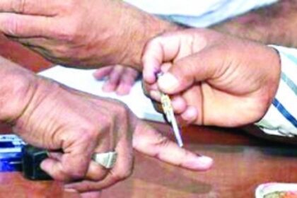 Should a criminal record be a criteria for elections?