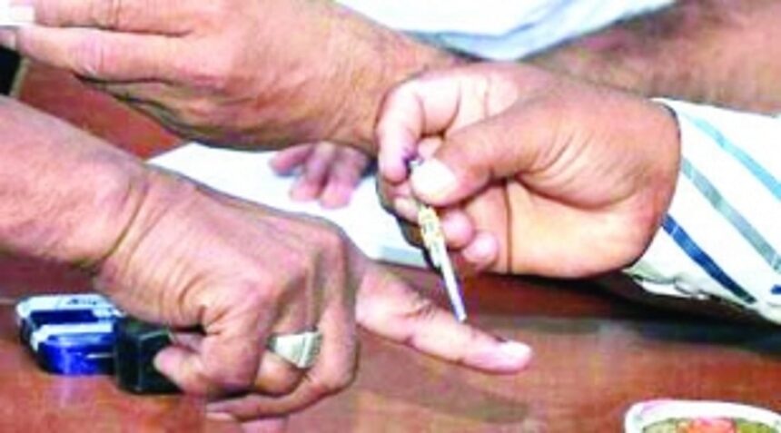 Should a criminal record be a criteria for elections?