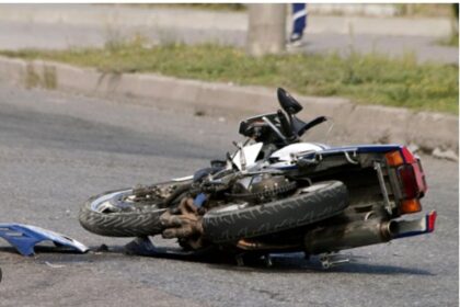 Should the Govt stop issuing licenses for 6 months till a solution to fatal accidents is found?