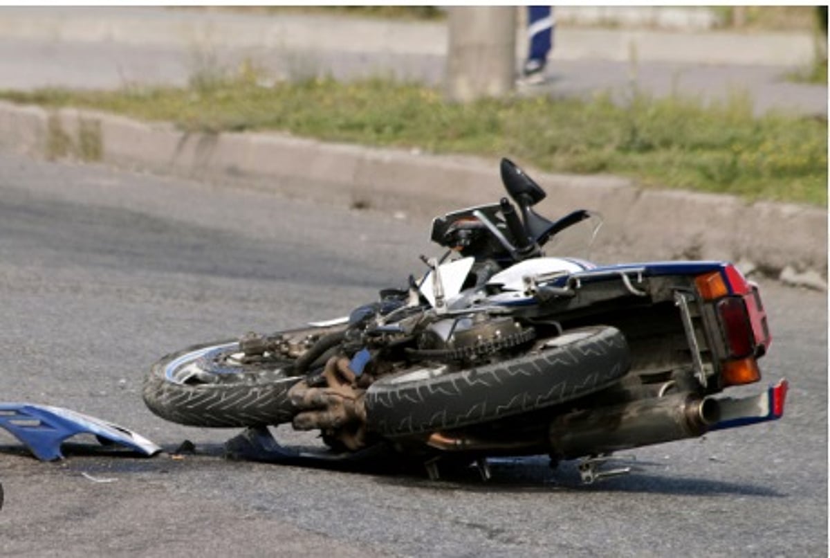 Should the Govt stop issuing licenses for 6 months till a solution to fatal accidents is found?